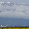 琵琶湖冬物語　- 　比良山、白く高く　