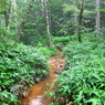 上高地 【2011/08】