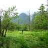 上高地 【2011/08】