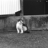 1_002