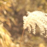 DSC00103