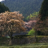 里