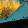 聖堂の屋根