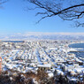 雪化粧の町