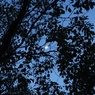 DSC00186