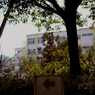NOTITLE:17