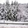 P1234603