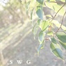 DSC00235