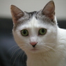 うん？