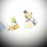 散歩日和　＃２４