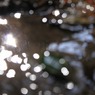 IMG_3045