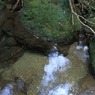 IMG_3052