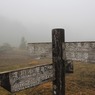 IMG_4409