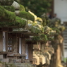 若宮神社への参道にて