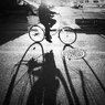On a Bright and Sunny Day in Winter #10