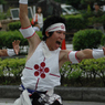 彦根よさこいソーラン　躍動