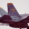 GoldenDragons CAG 1995
