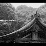 ☆kamado shrine