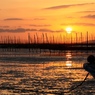 海苔網と夕陽
