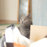 何かに気づいたみたい