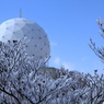 冬の雨量レーダー