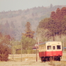 里山を行く
