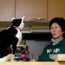 「ご飯ちょうだい」