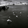 _DSF0746_1