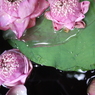 P1060314