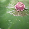 P1060374