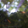 P1060512