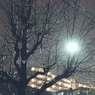 DSC00495