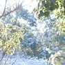 DSC00695