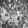 雪山の記憶