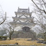 宇和島城・雪