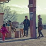 宝登山散策7