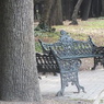 IN THE PARK
