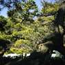 三渓園#7