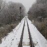 Local Line #２３