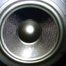 ADAM SPEAKER