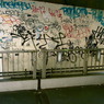 shibuya