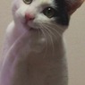 にやり