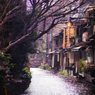 梅鼠 -umenezu-
