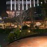 街の夜 － 広場