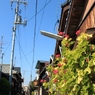 裏通り