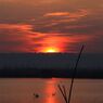 Rising sun in Bukit Cinta, Rawa Pening
