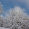 雪花　すぎゆく冬へ