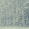 雪 幻 想