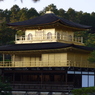 京都(15)