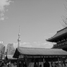 スカイツリー